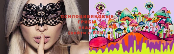 прущая мука Аркадак